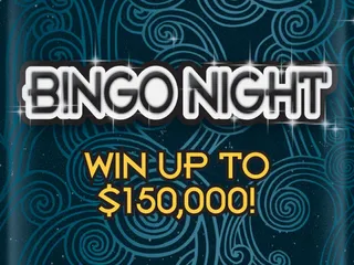 Bingo Night official game artwork