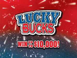 LUCKY BUCKS official game artwork
