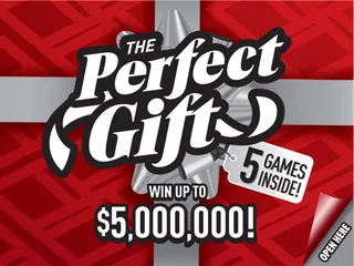 THE PERFECT GIFT official game artwork